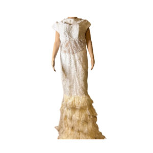 Lace Fabric Gown