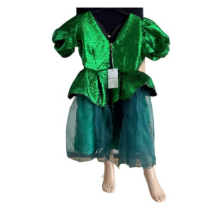 Green Chiffon Dress
