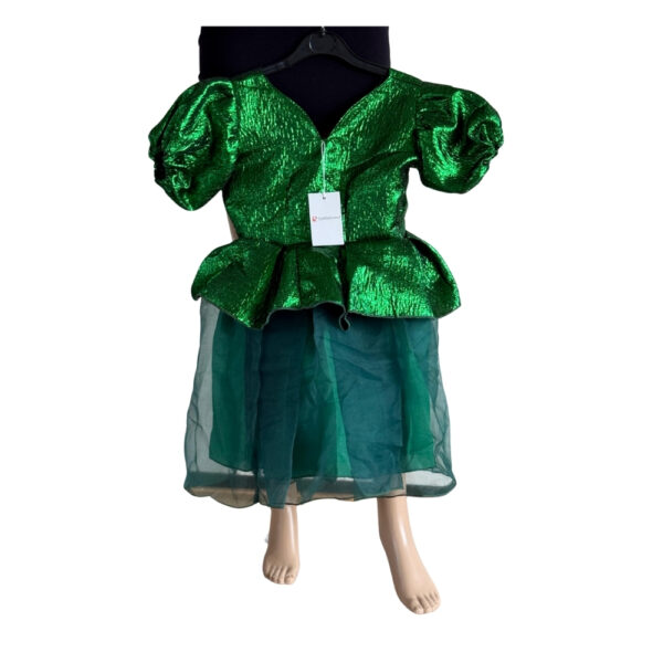 Green Chiffon Dress - Image 2